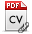 pdf cv