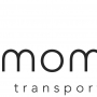 Momentum Transport Consultancy & Eidos